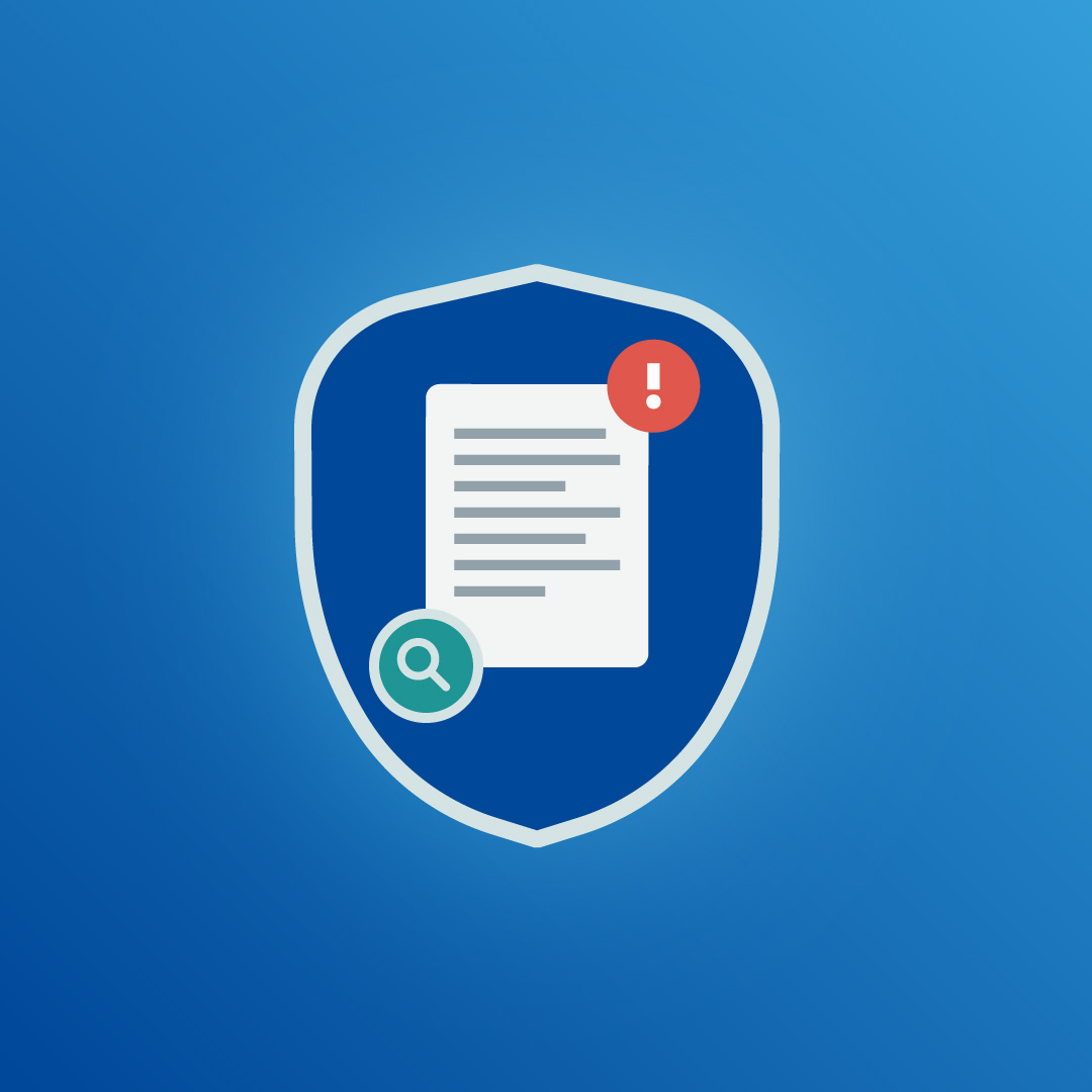 Vulnerability Report Overview